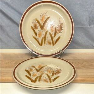 Vintage Stoneware whaet Parade Japan dinner plates (2)
